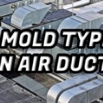 7 Mold Types That Are Commonly Found In Air Ducts